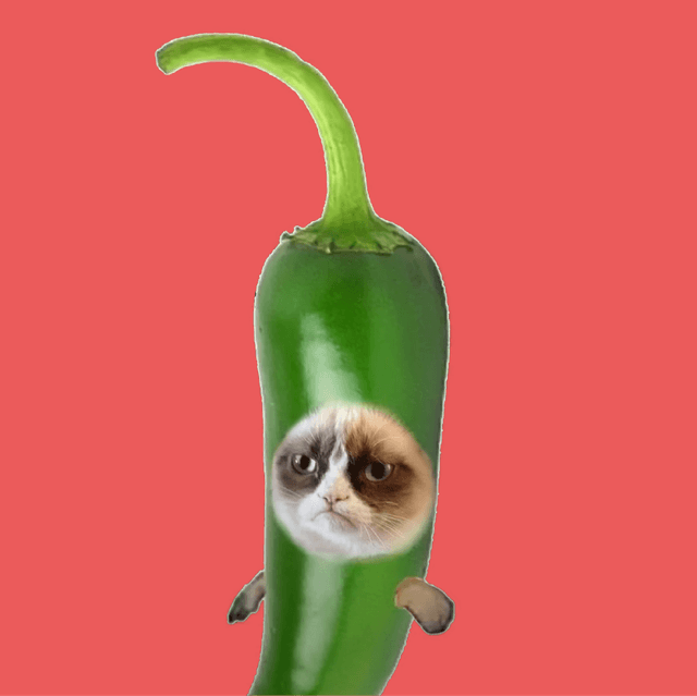 $PEPPERCAT